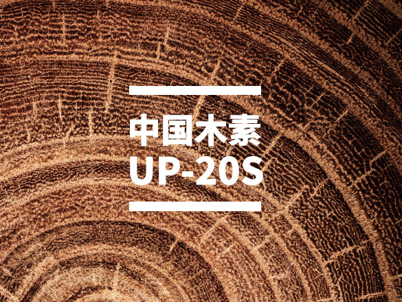 UP-20S