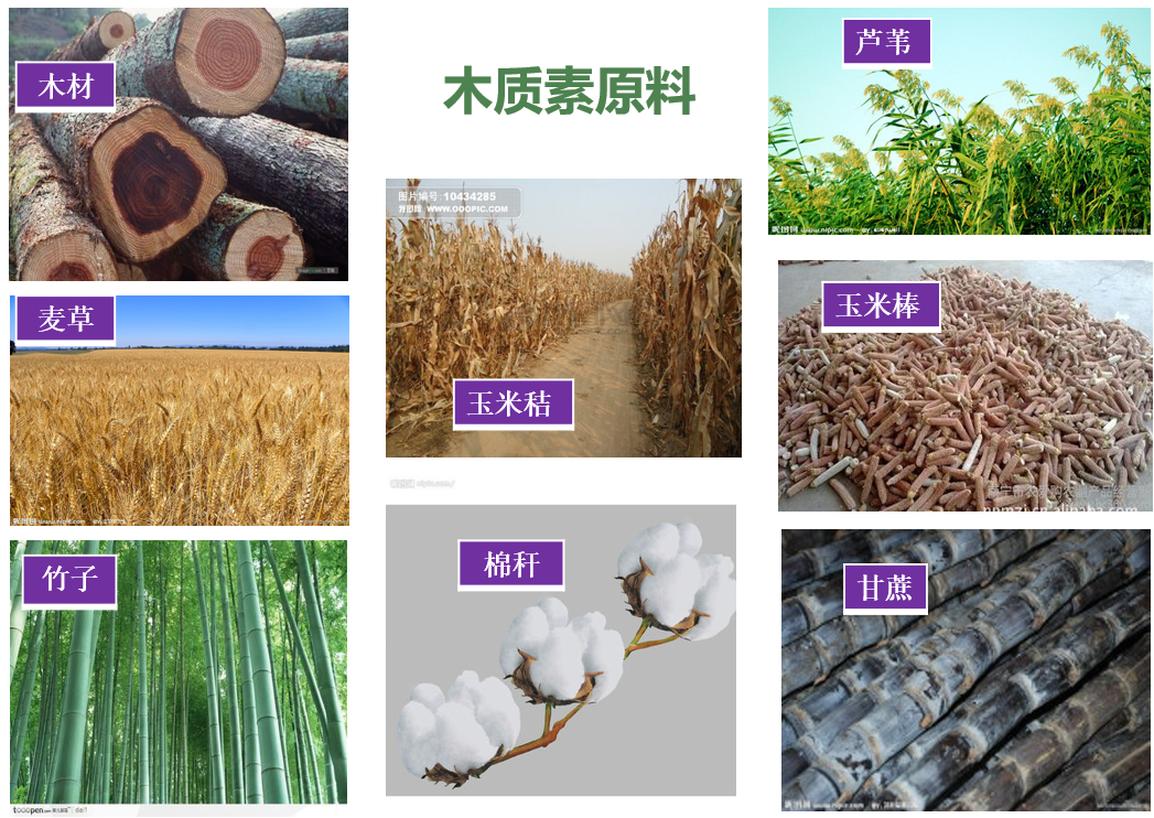 工业木素制备与应用